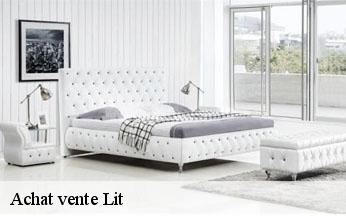 Achat vente Lit  civrieux-d-azergues-69380 L'art & la manière, Tapissier 69