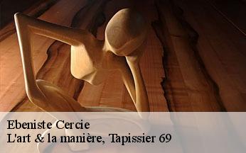 Ebeniste  cercie-69220 L'art & la manière, Tapissier 69