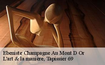 Ebeniste  champagne-au-mont-d-or-69410 L'art & la manière, Tapissier 69