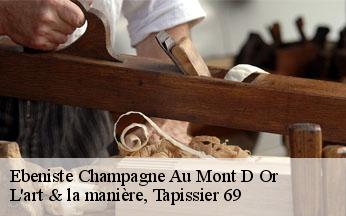 Ebeniste  champagne-au-mont-d-or-69410 L'art & la manière, Tapissier 69