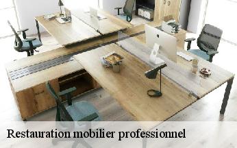 Restauration mobilier professionnel  chamelet-69620 L'art & la manière, Tapissier 69