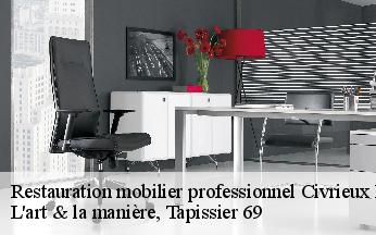 Restauration mobilier professionnel  civrieux-d-azergues-69380 L'art & la manière, Tapissier 69