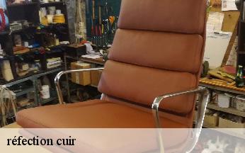 réfection cuir   albigny-sur-saone-69250 L'art & la manière, Tapissier 69