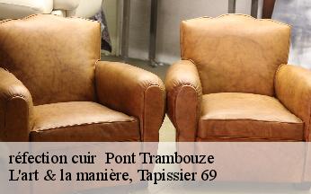 réfection cuir   pont-trambouze-69240 L'art & la manière, Tapissier 69