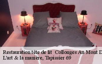 Restauration tête de lit   collonges-au-mont-d-or-69660 L'art & la manière, Tapissier 69